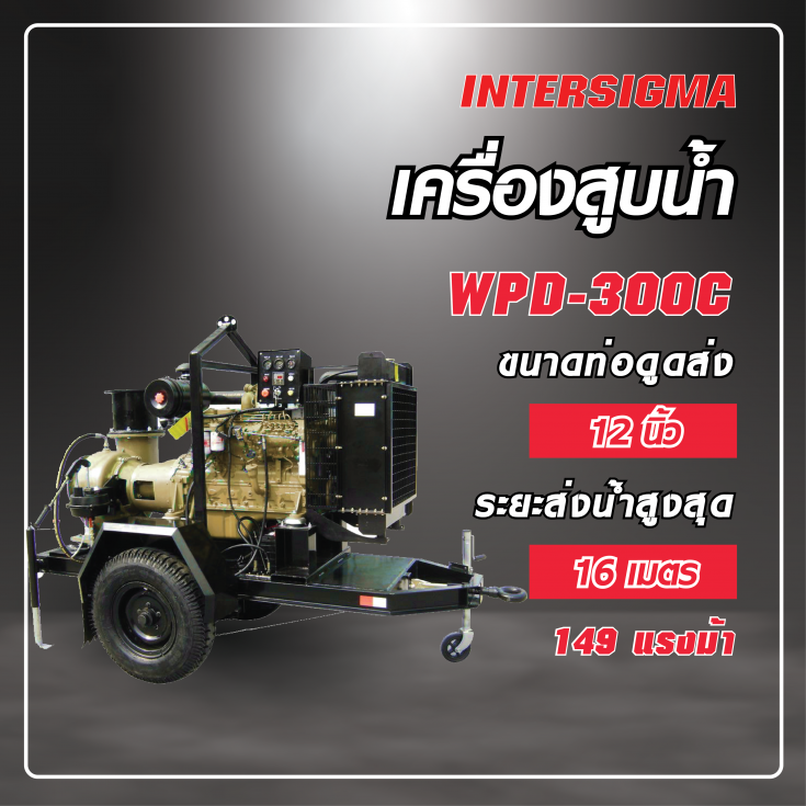 เครื่องสูบน้ำหอยโข่ง 12 นิ้ว
